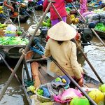 mekong_delta-600×300